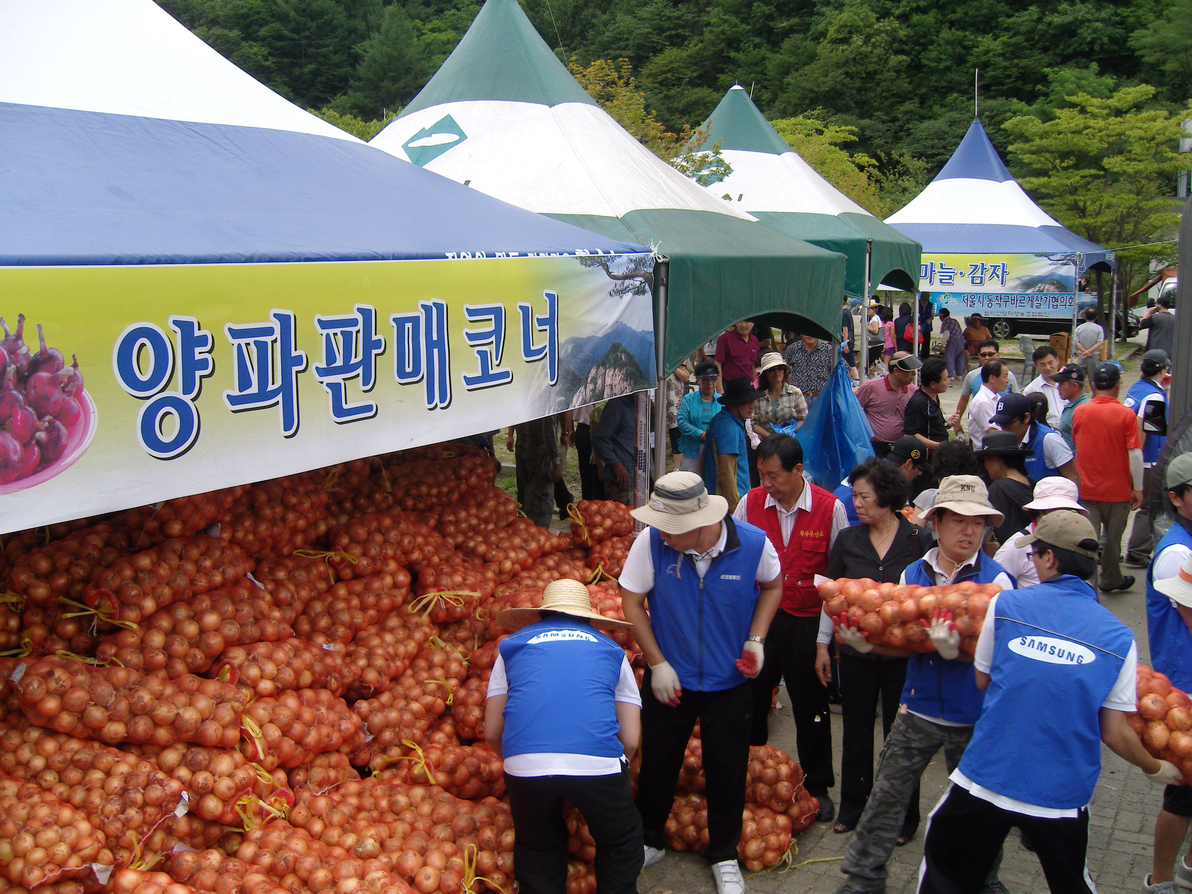 월악산양파 직거래 한마당 행사 이미지